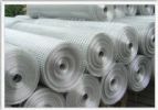 Electro Galvanized Welded Wire Mesh 